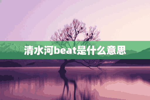 清水河beat是什么意思